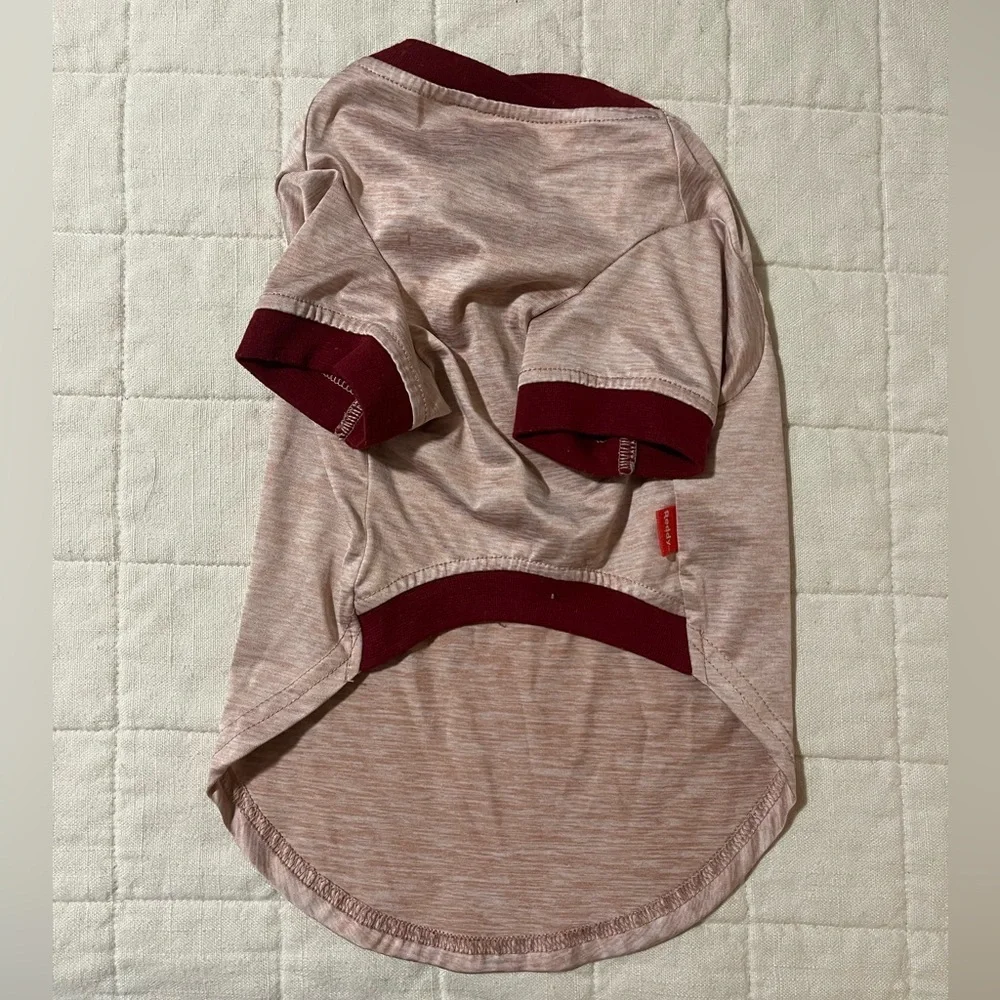 clothing  for a small dog